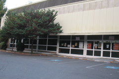 Picture1